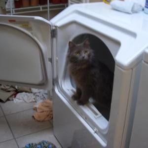 Meet your Posher, Liz